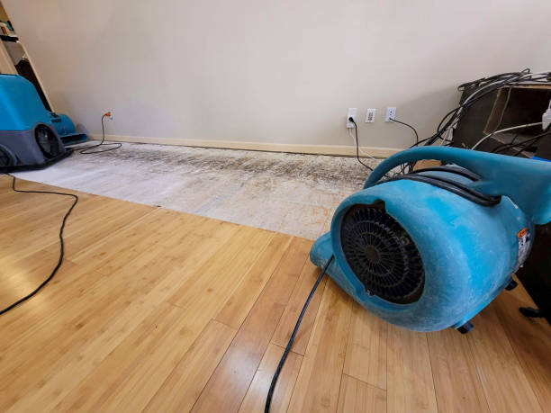 Professional Structural Drying technician working in Turtle Creek, WV